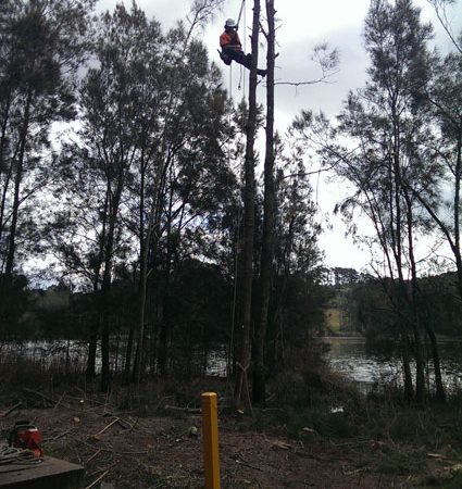 Work by Avoca Lake for Council